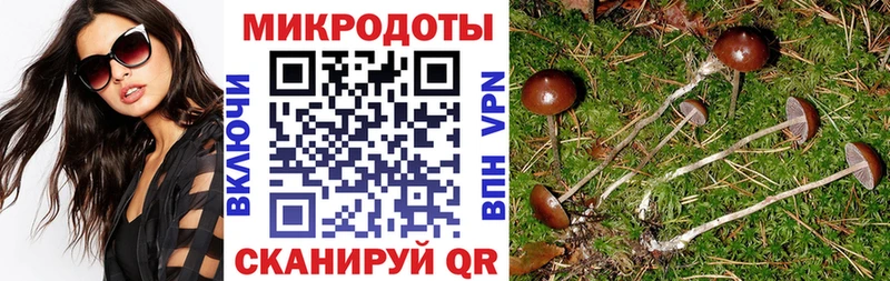 блэк спрут ссылка  Азов  Галлюциногенные грибы MAGIC MUSHROOMS 